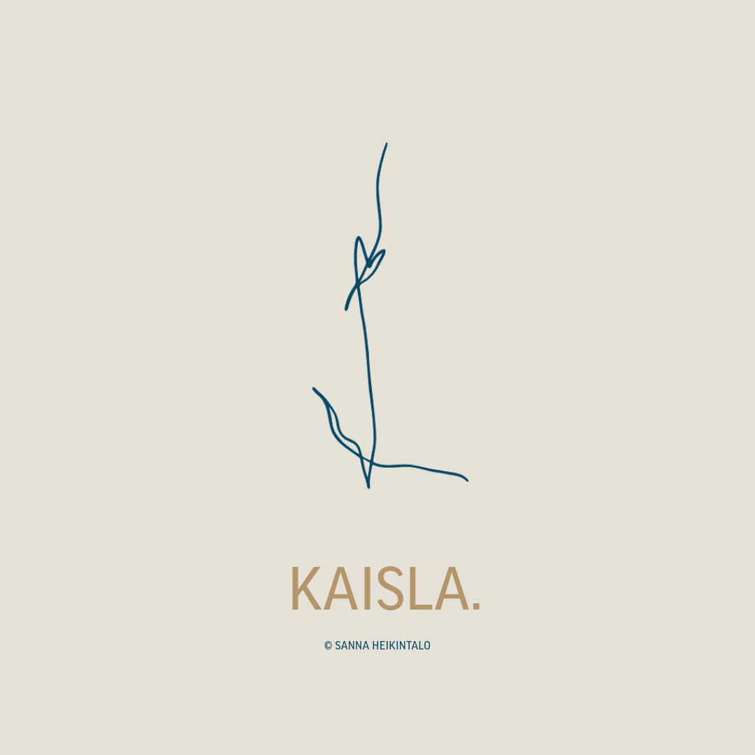 KAISLA workshop illustration